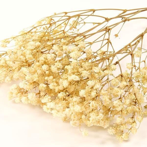 アンティークプリザカスミソウ 白 プリザーブドフラワー フラワーアレンジメント 花材 花資材 ナチュラル プリザーブドフラワー花材アミファ 通販 Yahoo ショッピング