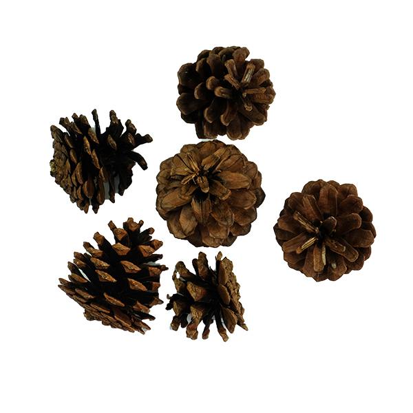 松かさ 小 松ぼっくり 手作り ハンドメイド 材料 Ct プリザーブドフラワー花材アミファ 通販 Yahoo ショッピング