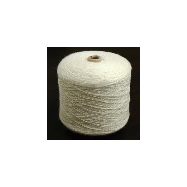  ؐ ю WO-12 E[POO Xg[g D