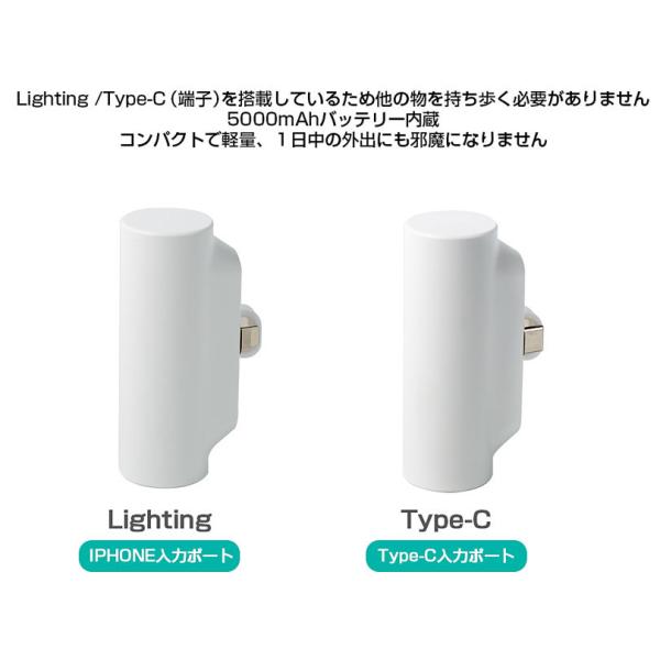 amirabear_hb-mbtr01-2_11_d_20230314212855