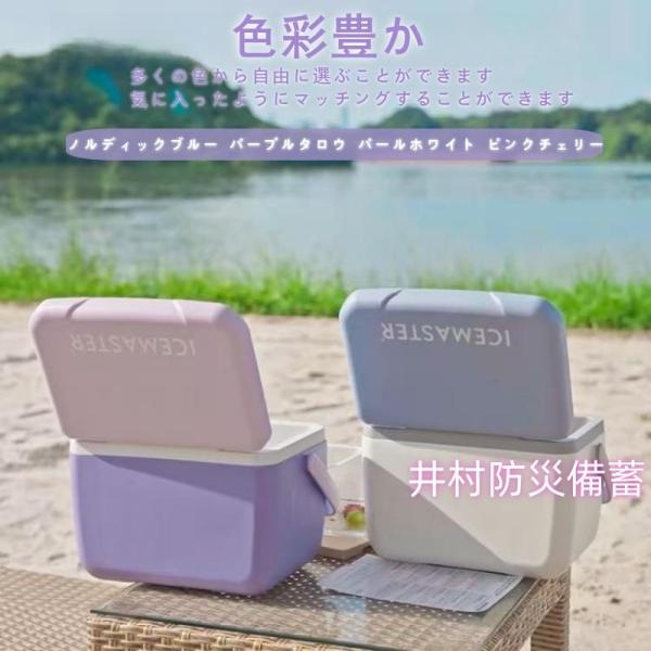 お中元 クーラーボックス 小型 5.5L おしゃれ かわいい BBQ ピクニック レジャー
