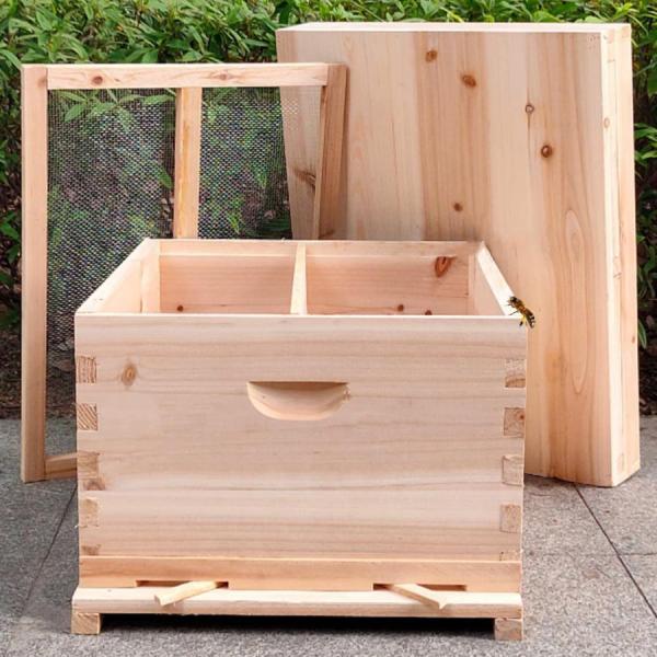 蜜蜂 巣箱ミツバチ 巣箱養蜂箱ミツバチ巣箱 杉材 蜂蜜蜂の巣箱 ミツバチの巣箱 蜂蜜キーパー 10フレームパーティション巣箱 蜂の巣 養蜂用具 非常に乾燥巣箱 蜂