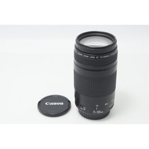 Canon キヤノン EF 75-300mm F4-5.6 II フルサイズ ズームレンズ 260820q