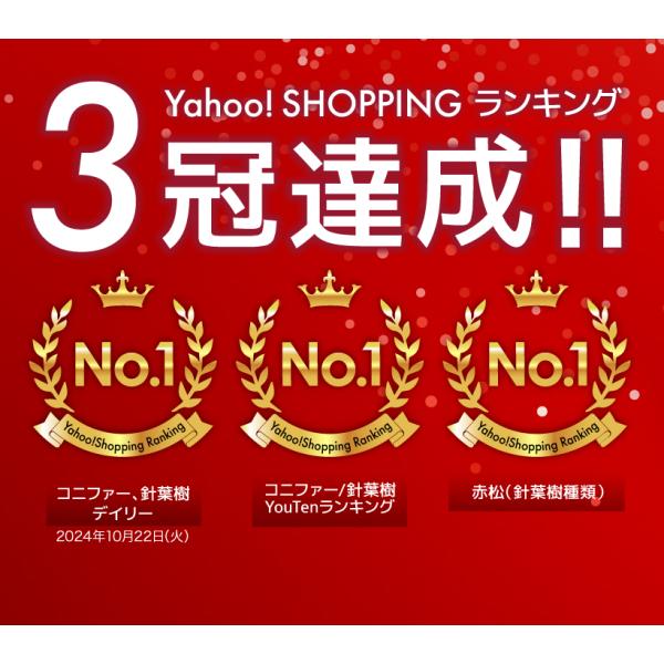 amj_lx-tr-150_2_d_20250812110203