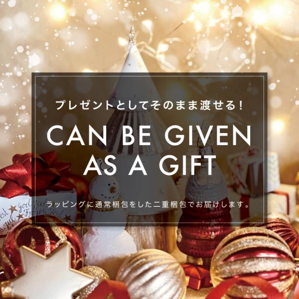 amj_yt-cmr01_3_d_20240206114037