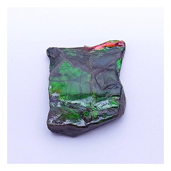 ACg   S W{ɂǂ p[Xg[  VR  1539