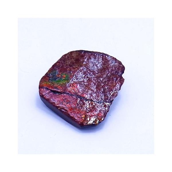 ACg   S W{ɂǂ p[Xg[  VR  1621