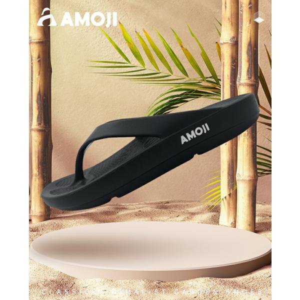 amoji_aa1551_1_d_20240910174841