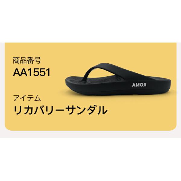 amoji_aa1551_2_d_20240910174846