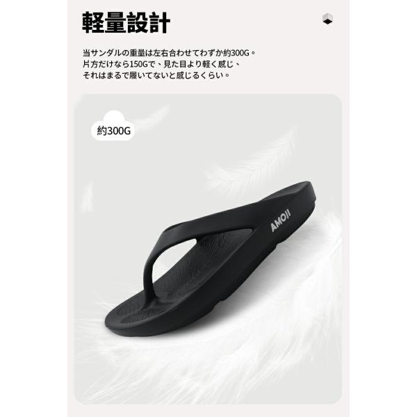 amoji_aa1551_3_d_20240910174850