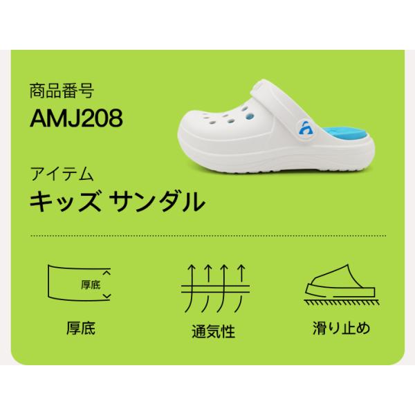 amoji_amj208_2_d_20240422173806