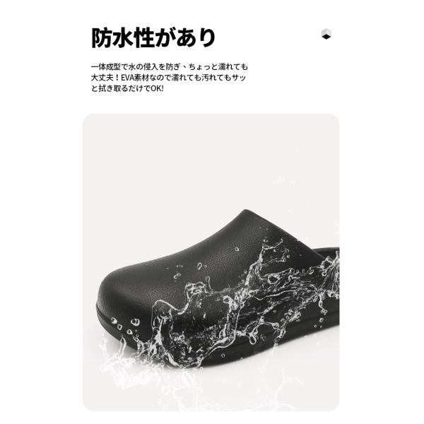 amoji_ca5529_4_d_20250227174616