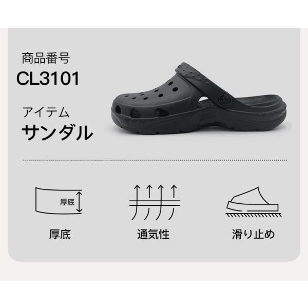 amoji_cl3101_2_d_20260120172504