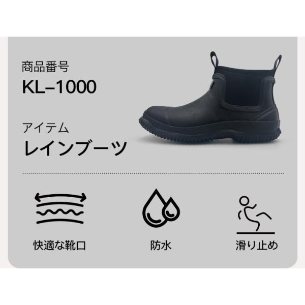 amoji_kl1000_2_d_20250407155940