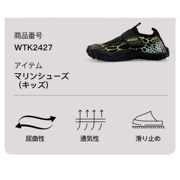 amoji_wtk2427_2_d_20250416175833