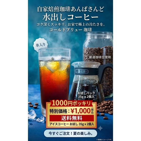 1000円ポッキリ 送料無料 水出しコーヒー アイスコーヒー パック お試し 35g 2個入 自家焙煎珈琲あんぱさんど コールドブリュー 珈琲