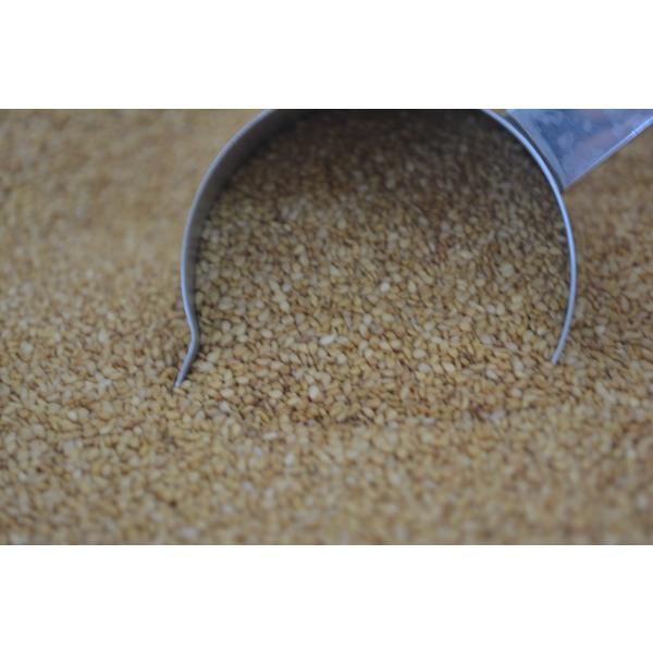 宮崎県小林市で生産した金ごまです。宮崎県内で、生産・洗浄・乾燥・色彩選別・磁力選別を行っております。原材料産地　宮崎県小林市内容量　　　１００ｇ保存方法　　高温多湿を避けてくださいこちらの商品は、生の金ごまです。焙煎を行っていないため、ご家...