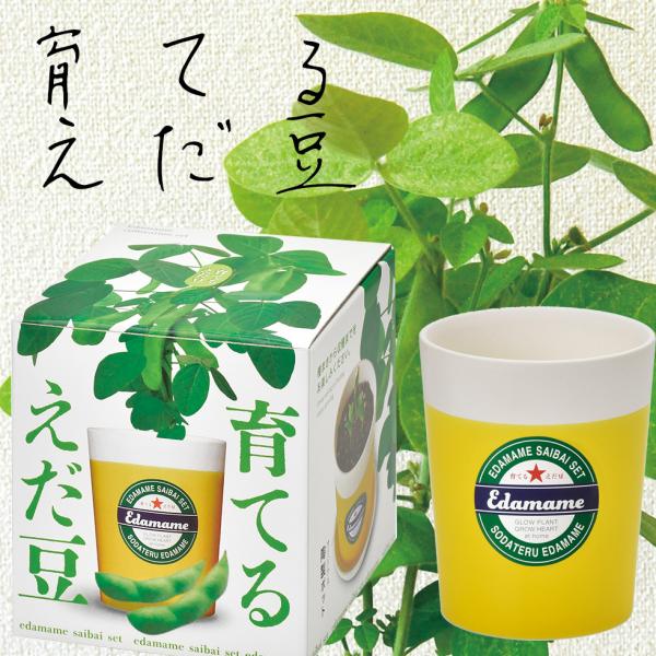 栽培キット 栽培セット えだまめ 枝豆 種 家庭菜園 キッチン 栽培 父の日 プレゼント 70代 60代 80代 ギフト P 花ギフト 贈り物 アンプール 通販 Yahoo ショッピング