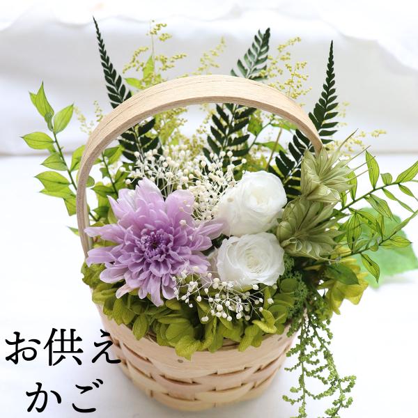 ampoule-shop_p00623