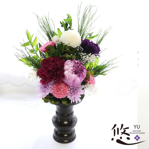 ampoule-shop_y2221