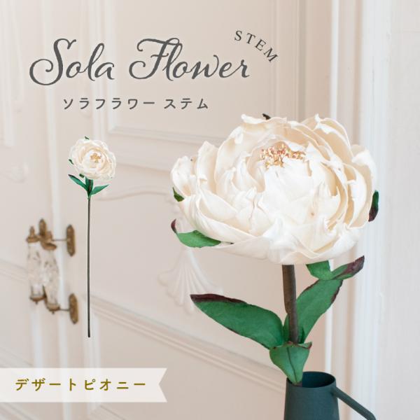 最安値挑戦】 Sola Flower ソラフラワー ソラディフューザー ディアレストダリア