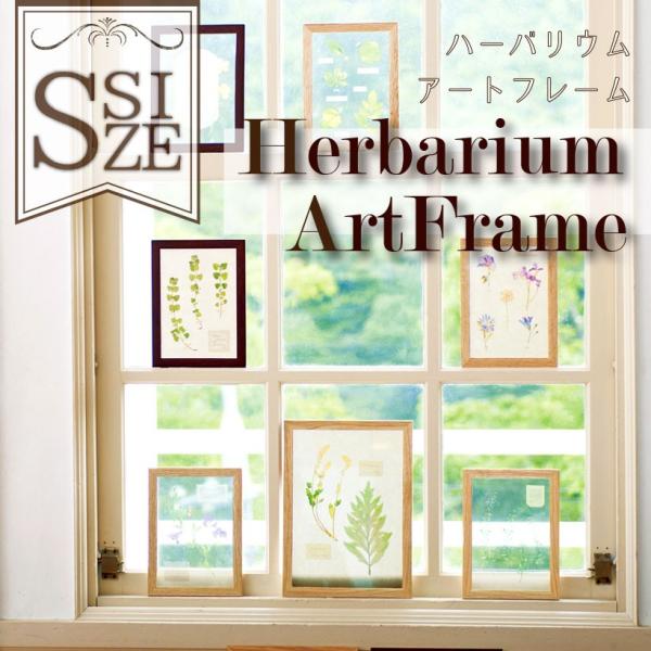 おしゃれなハーバリウムが写真立てに！手軽に自然を取り入れよう♪ 植物標本の世界に浸る本物みたいな、ハーバリウムフレームです。フィルムに印刷されたリアルタッチの植物は、まるで本物の植物はさんだかのよう。アンティークな標本やスクラップブックを切...