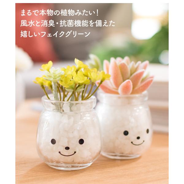 フェイクグリーン リアル 風水 Ct触媒 インテリア おしゃれ 多肉植物 リビング 玄関 窓辺 寝室 トイレ ギフト プレゼント 消臭 防汚 抗菌 Famille ファミーユ S Buyee Buyee Japanese Proxy Service Buy From Japan Bot Online