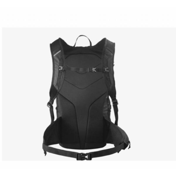 ams-doing_lc2182600_1_d_20240419174514