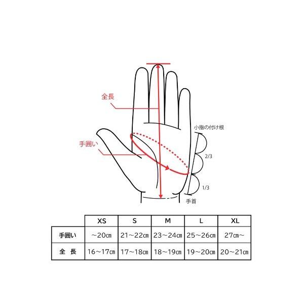 ams-doing_t8882_3_d_20241104151359