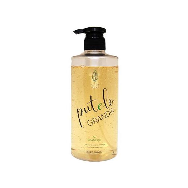 プテロ putelo AR シャンプー グランディール 700ml スカルプ シャンプー
