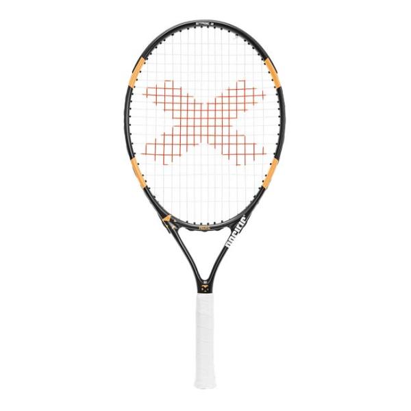 グラファイトコンポジット素材 パシフィック(Pacific) Xチーム23 (215g