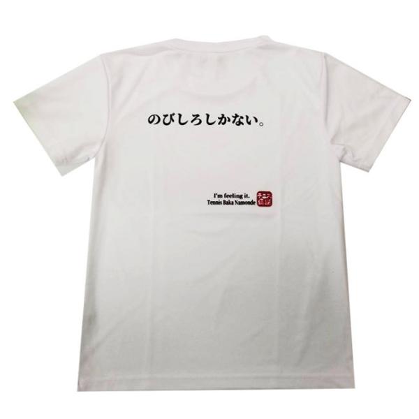 ؂II݌ɏz{TCY ejXn jZbNX hC obNvgTVc ŵт낵ȂBx (21y3mejX)