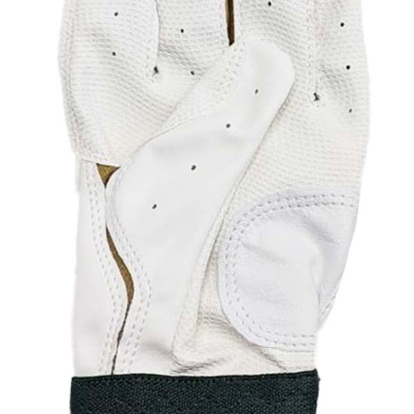 amuse37_751599939_2_d_20260221104614