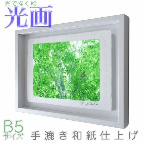 vJ}Љi V΂̋P  B5TCY ŕ`G 荗adグ 011-B5-zCgY wi pXeJ[ aA[g(21y8m)