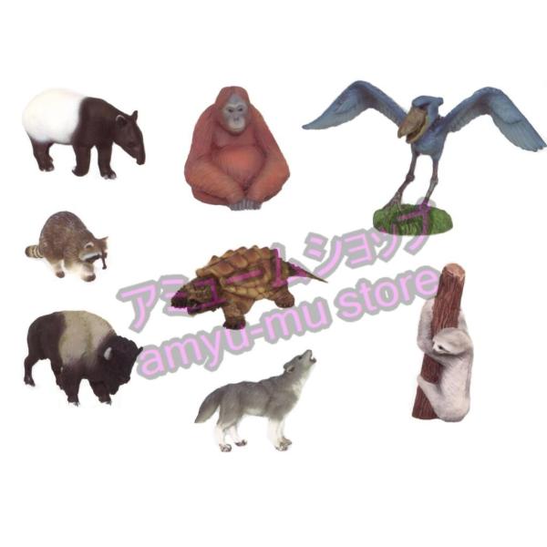 amyu-mustore_1701170