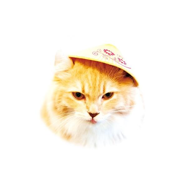 キュートなねこの世界旅行 ねこのかぶりもの ベトナム