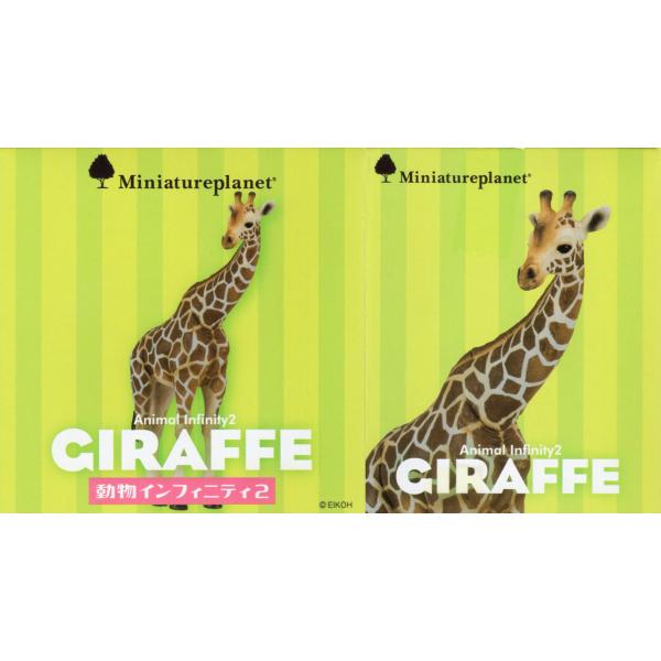 ~j`Avlbg CtBjeB2 A~L