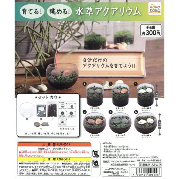育てる 眺める 水草アクアリウム コロコロコレクション 全6種セット コンプ コンプリート C アミュームショップ 通販 Yahoo ショッピング