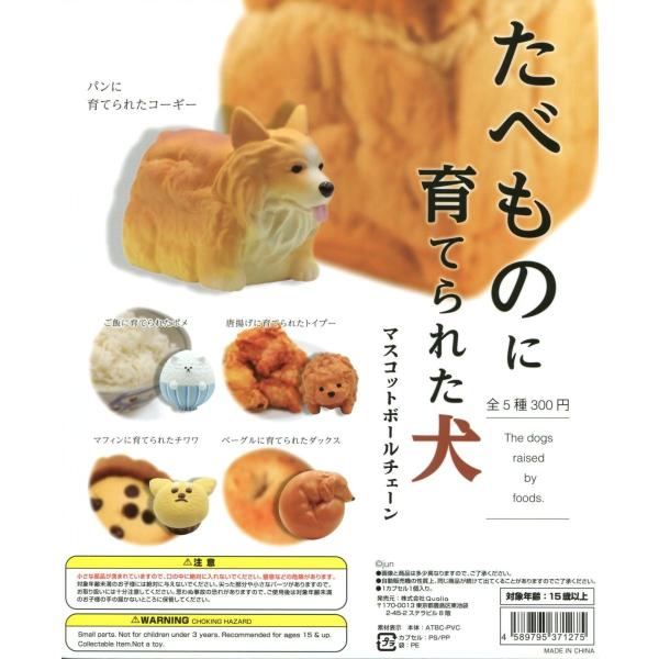 たべものに育てられた犬 全5種セット コンプ コンプリート C アミュームショップ 通販 Yahoo ショッピング