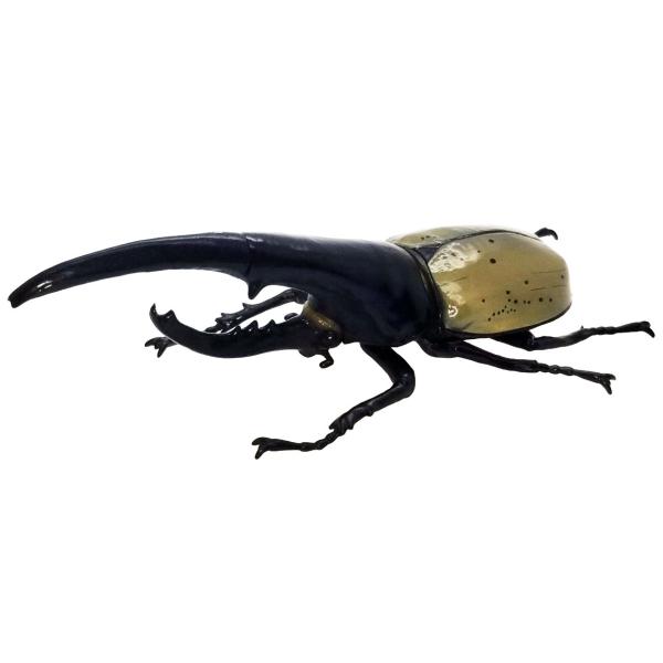 amyu-mustore_c1907126