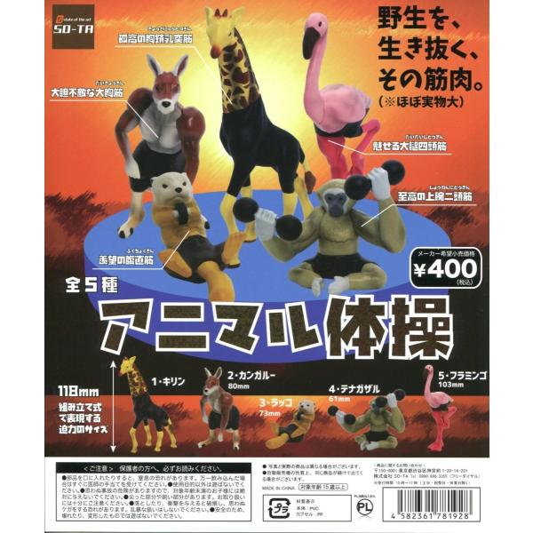 ガチャ　機動物1＆2(全12種)　コンプリートセット アニマル体操 全5種セット コンプ コンプリート : アミューム