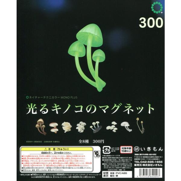 amyu-mustore_c1910076