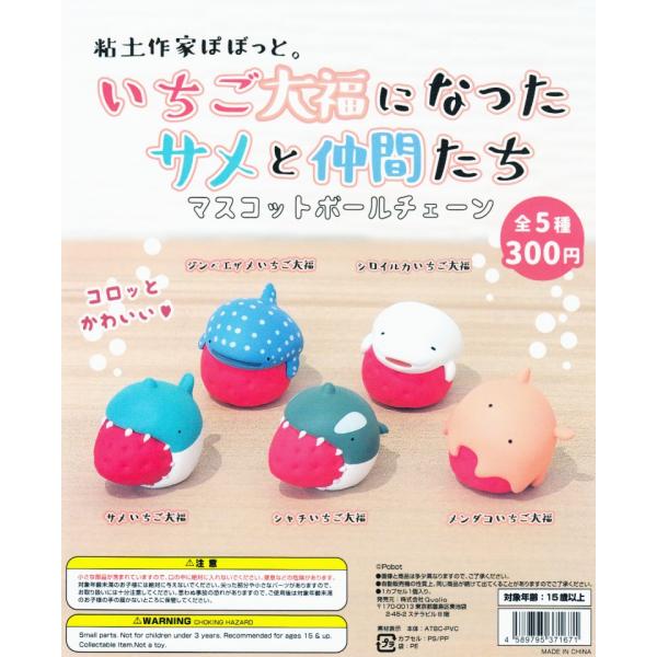 啟ɂȂTƒԂ S5Zbg Rv Rv[g