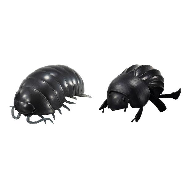 だんごむし07 だんごむしとまんまるこがね 2種セット C アミュームショップ 通販 Yahoo ショッピング