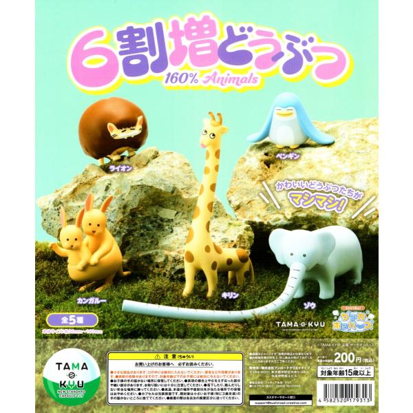 TAMA-KYU 6ǂԂ S5Zbg K` Rv Rv[g