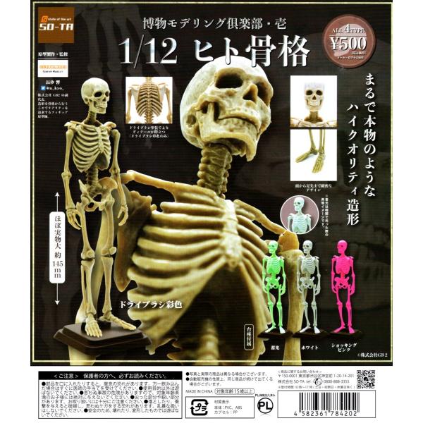 博物モデリング倶楽部 1弾、2弾、3弾コンプセット amyu-mustore_c2111051