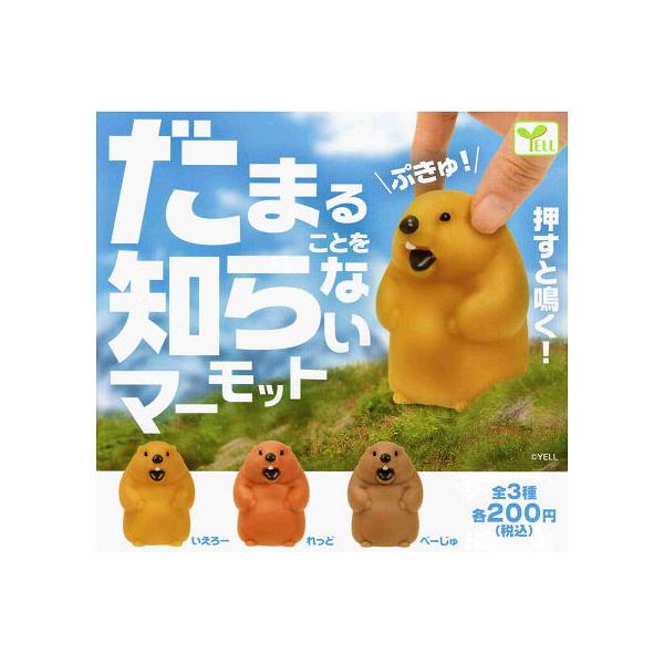 amyu-mustore_c2409012