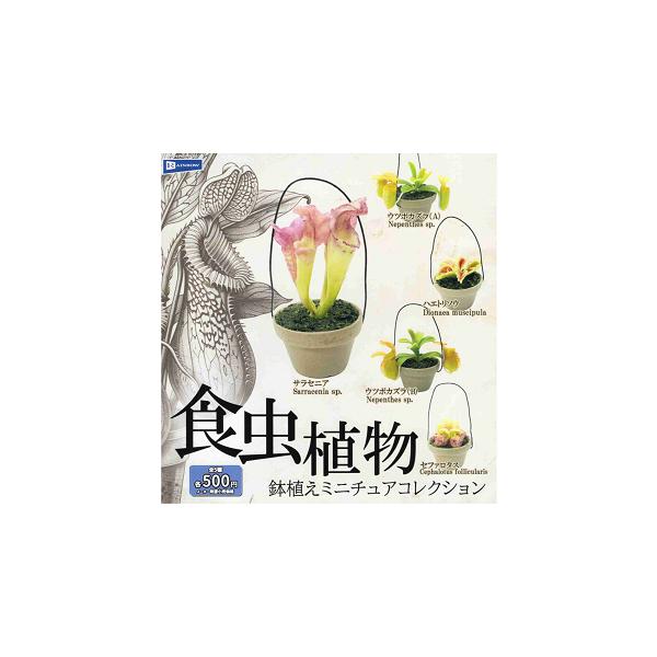 食虫植物 鉢植え ミニチュアコレクション 全5種セット コンプ