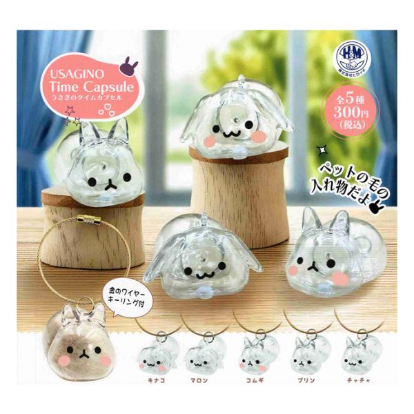 うさぎのタイムカプセル 全5種セット コンプ コンプリートセット