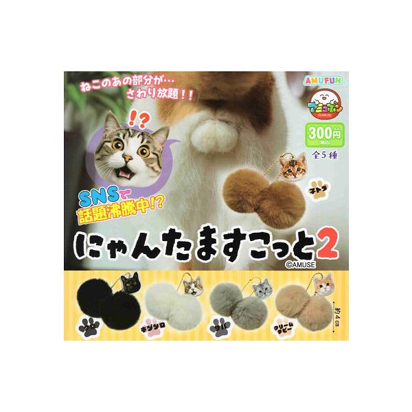 にゃんたますこっと2 全5種セット コンプ コンプリートセット
